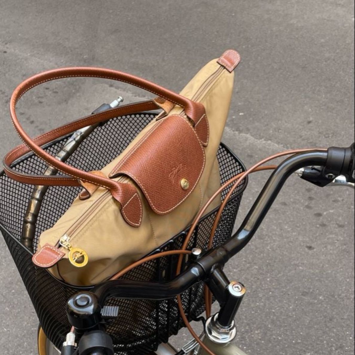 Le Pliage Longchamp